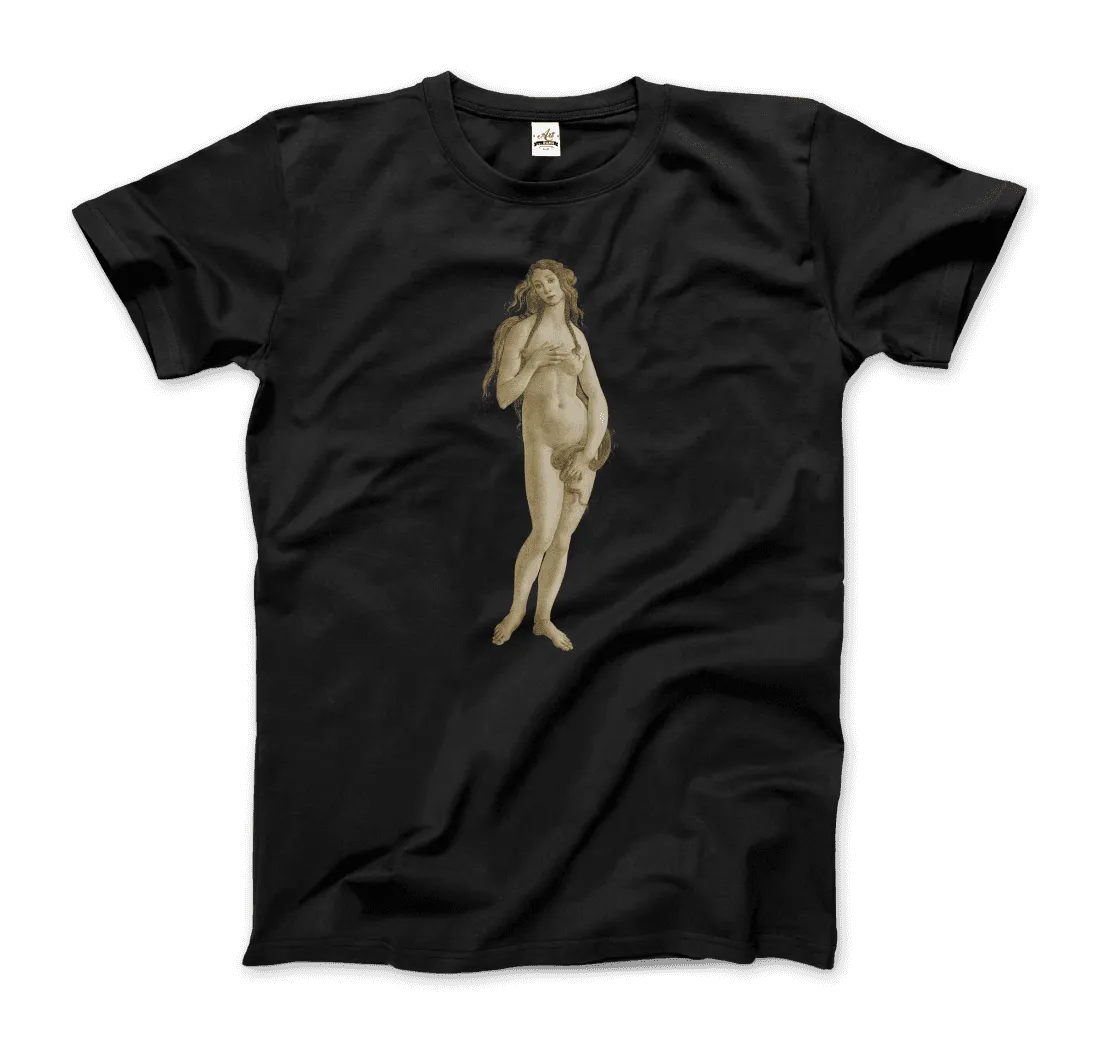 Sandro Botticelli - Venus (from The Birth of Venus) Artwork T-Shirt