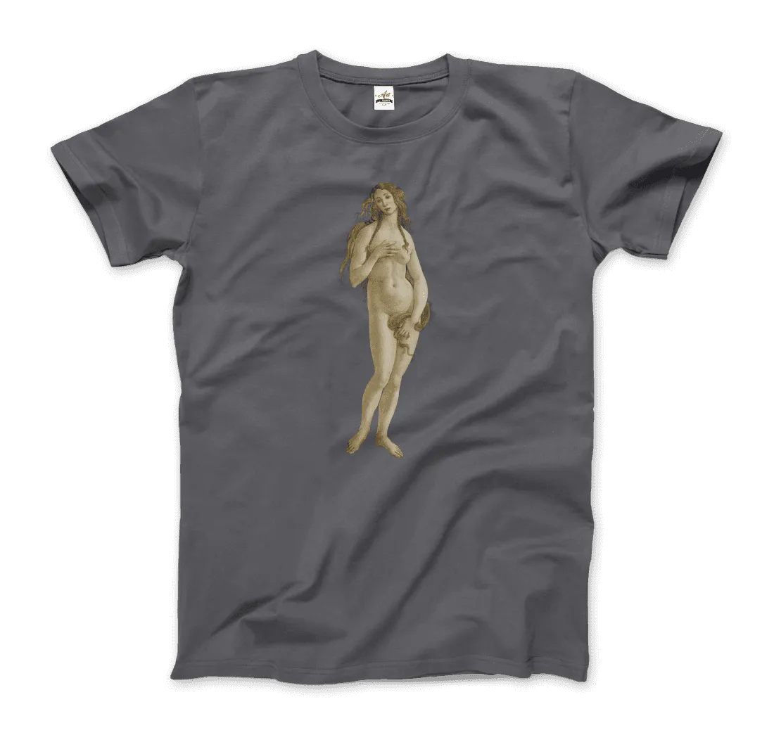 Sandro Botticelli - Venus (from The Birth of Venus) Artwork T-Shirt